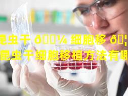 昆虫干 🐼 细胞移 🦄 植方法（昆虫干细胞移植方法有哪些）